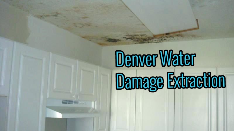 Denver Water Damage Extraction
