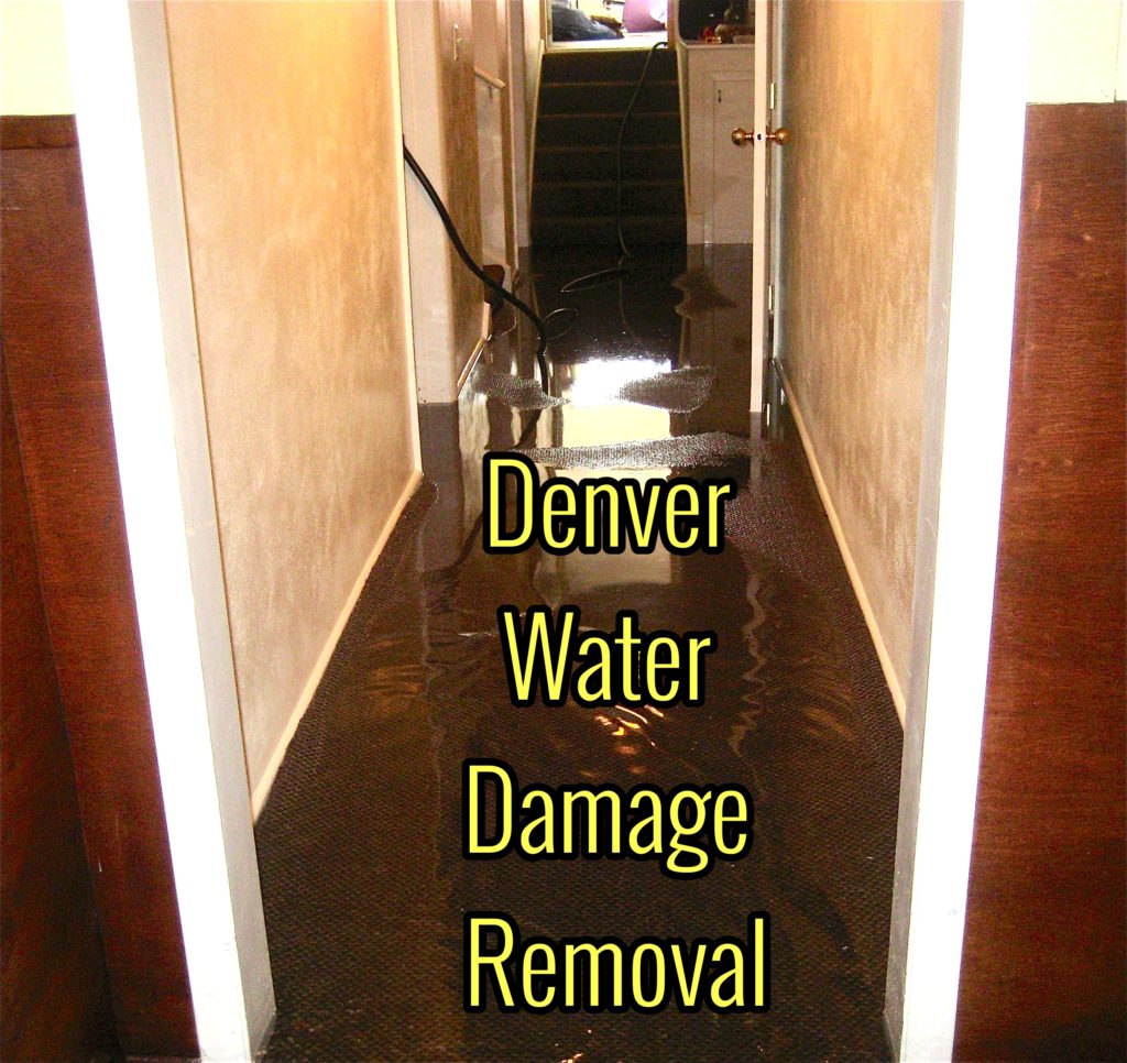 Water Damage cleanup services